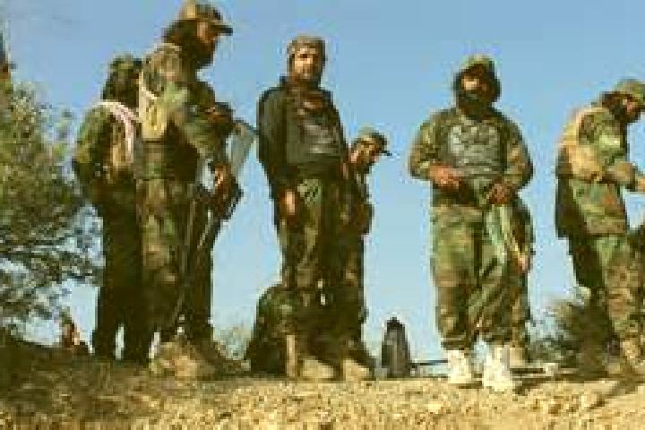 Piper, 31 — Escort in Maidan Khulah, Afghanistan