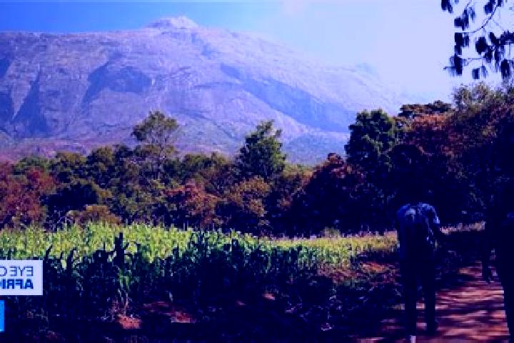 Piper, 31 — Escort in Mulanje, Malawi