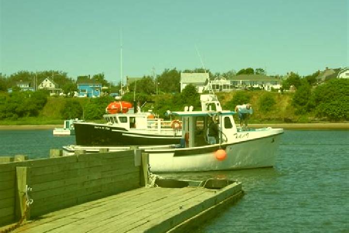 Piper, 31 — Escort in Port Morien, Canada