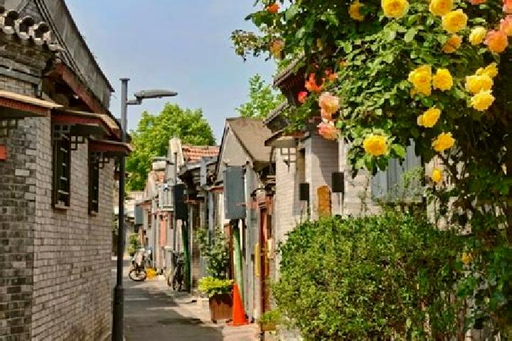 Piper, 32 — Escort in Beiling, China