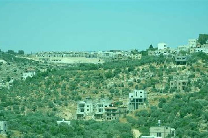 Piper, 32 — Escort in Bruchin, Palestine