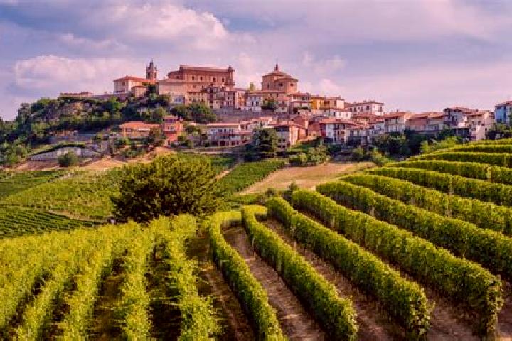 Piper, 32 — Escort in Cissone, Italy
