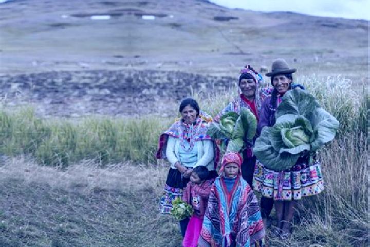 Piper, 32 — Escort in Huayllay Grande, Peru