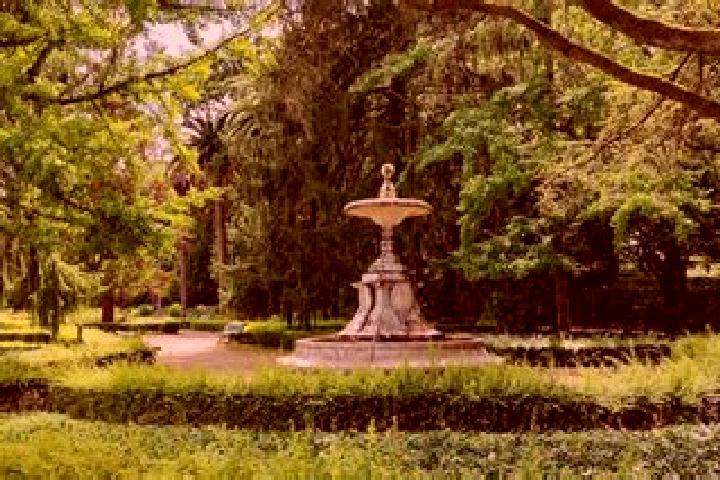 Piper, 32 — Escort in La Alameda de la Sagra, Spain
