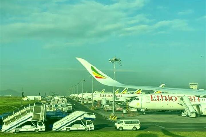Piper, 32 — Escort in Mega, Ethiopia