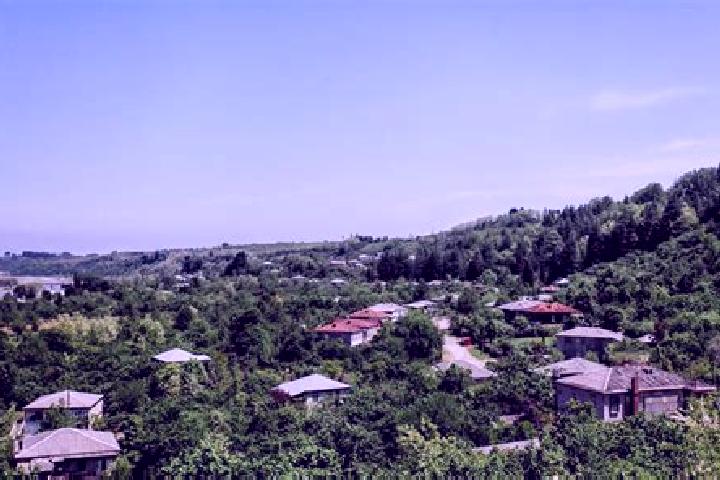 Piper, 32 — Escort in Ozurgeti, Georgia