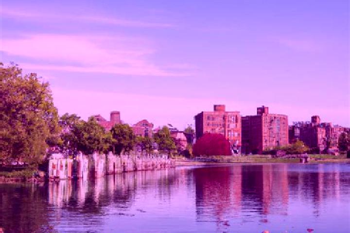 Piper, 32 — Escort in Rochelle Park, United States