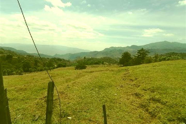 Piper, 32 — Escort in Sinuapa, Honduras