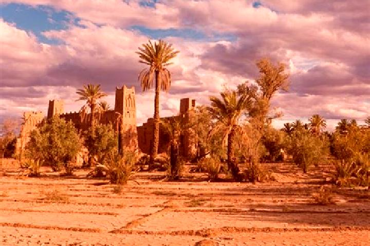 Piper, 32 — Escort in Skoura, Morocco