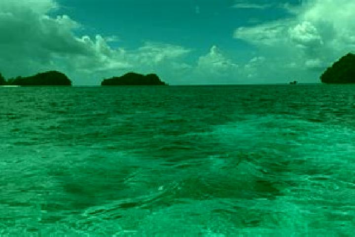 Piper, 32 — Escort in Sonsorol Village, Palau
