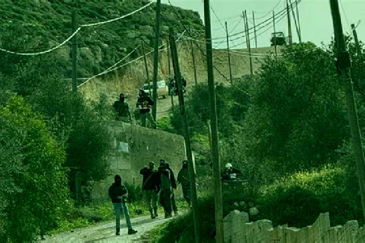 Piper, 32 — Escort in Talfit, Palestine