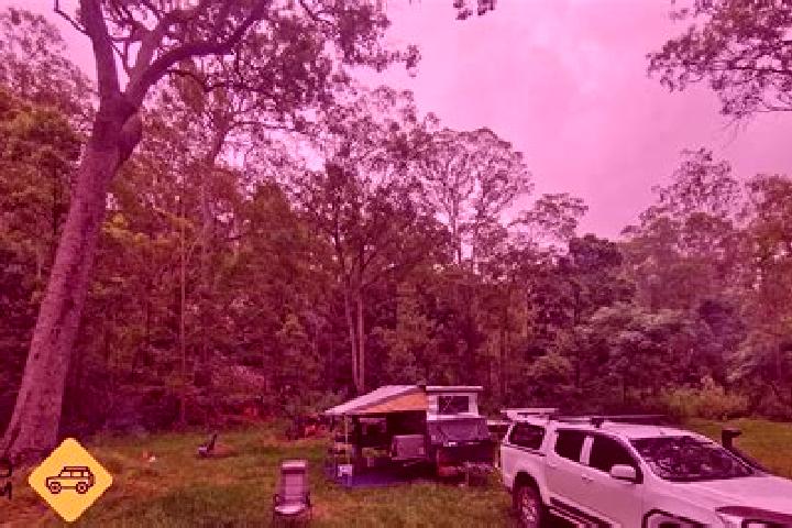 Piper, 32 — Escort in Witheren, Australia