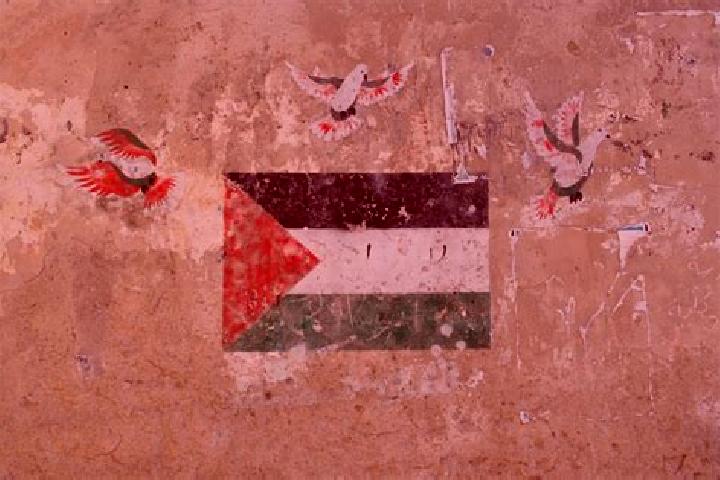 Piper, 33 — Escort in Baqah ash Sharqiyah, Palestine
