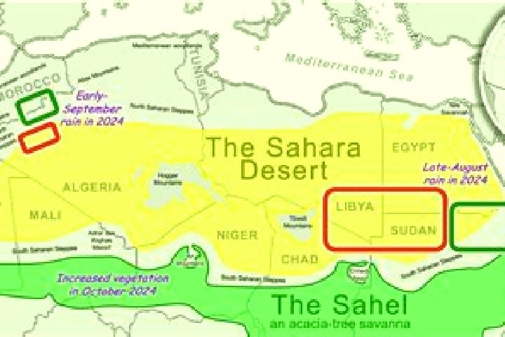 Piper, 33 — Escort in Daoura, Western Sahara