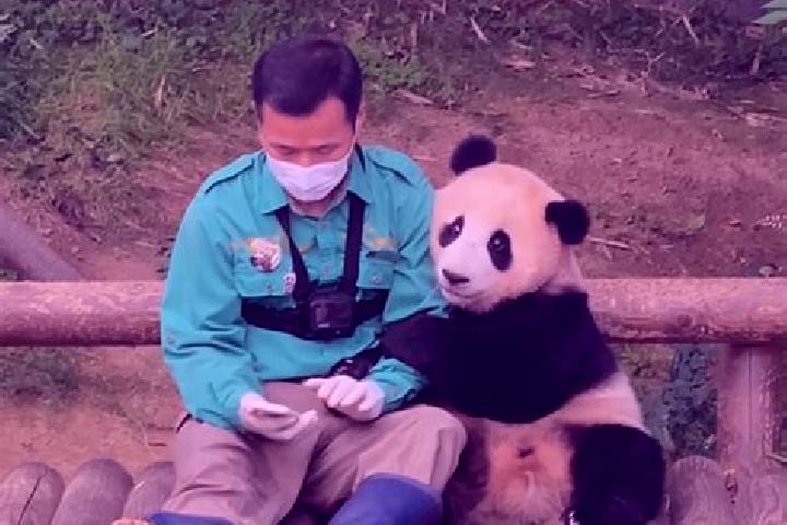 Piper, 33 — Escort in Fubao, China