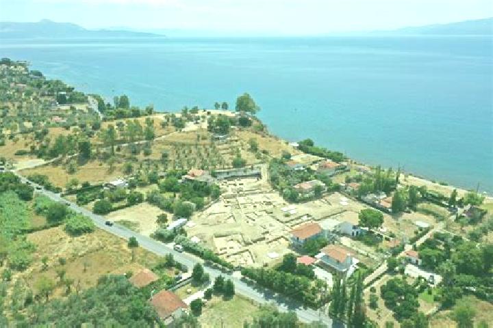 Piper, 34 — Escort in Artemisio, Greece
