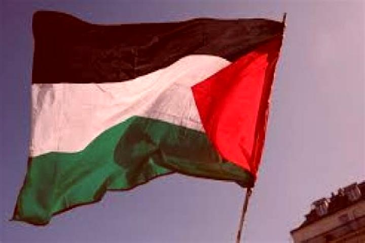 Piper, 34 — Escort in Az Zahiriyah, Palestine