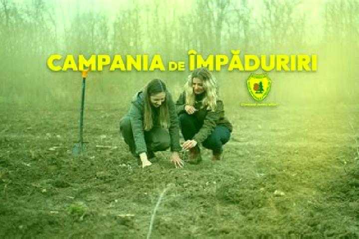 Piper, 34 — Escort in Ciuta, Romania