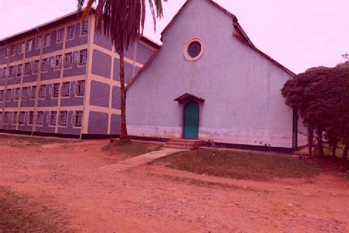 Piper, 34 — Escort in Elburgon, Kenya