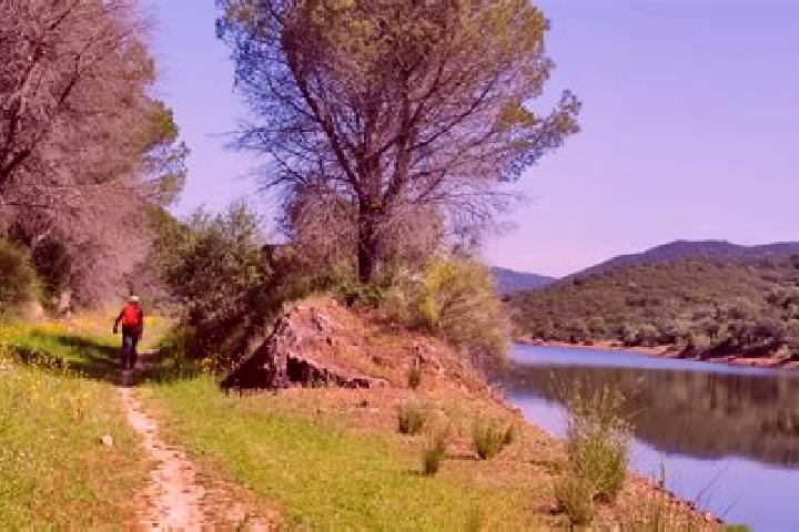 Piper, 34 — Escort in Guillena, Spain