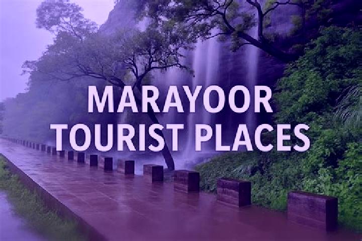 Piper, 34 — Escort in Marayur, India