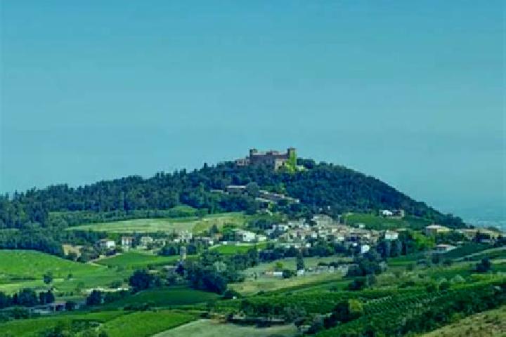 Piper, 34 — Escort in Montalto Pavese, Italy