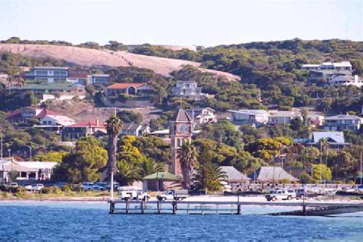Piper, 34 — Escort in Nulsen, Australia