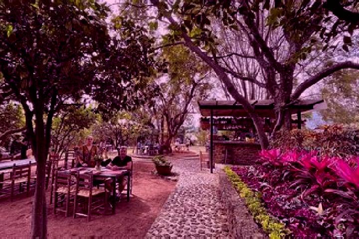 Piper, 34 — Escort in Rancho Seco de Barajas, Mexico