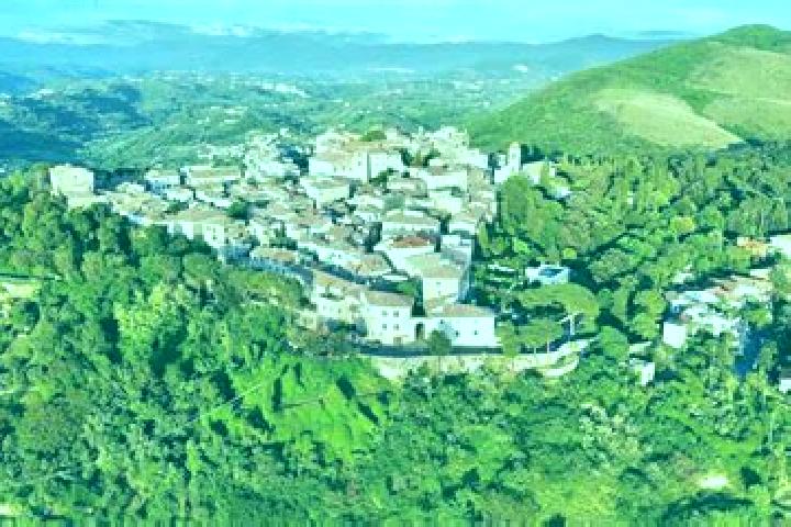 Piper, 34 — Escort in Torri in Sabina, Italy