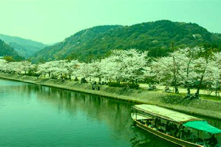 Piper, 34 — Escort in Uji, Japan