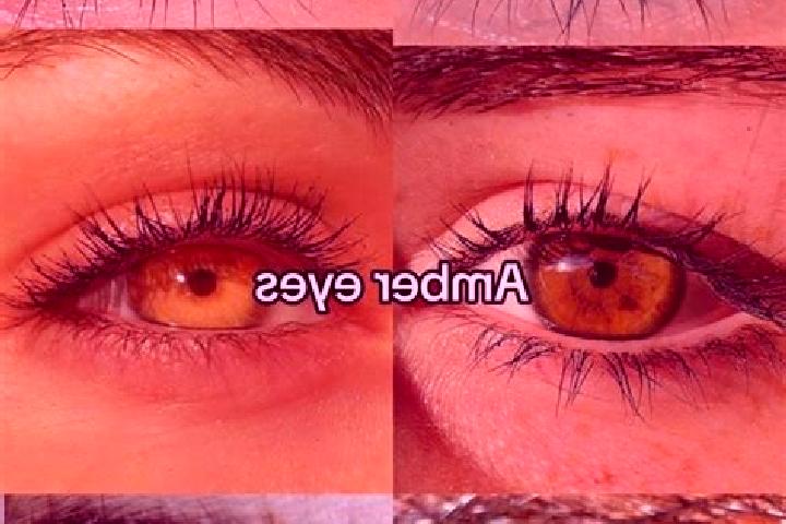 Piper, 35, a chestnut amber-eyed mixed companion based in Velamazan. Offering 69, Overnight, GFE, Travel Companion, Striptease. Available for incall and outc...