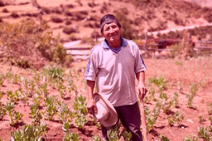 Piper, 35 — Escort in Jarpa, Peru