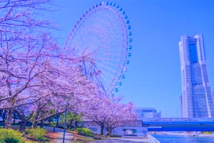 Piper, 35 — Escort in Minatomirai, Japan