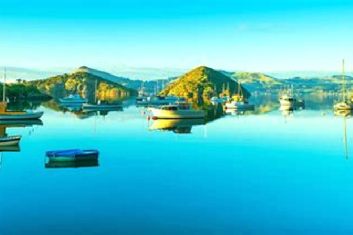 Piper, 35 — Escort in Port Chalmers, New Zealand