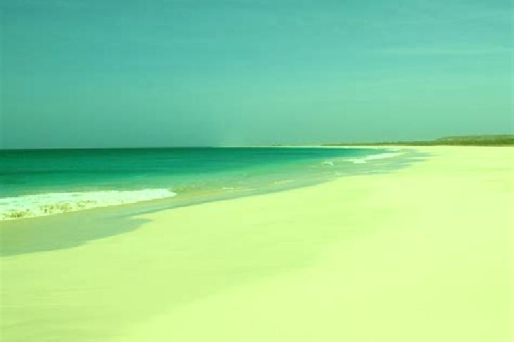Piper, 35 — Escort in Santa Filomena, Cape Verde