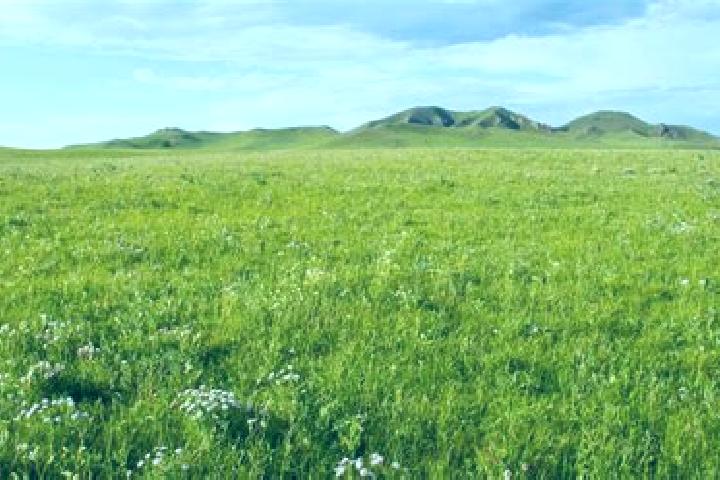 Piper, 35 — Escort in Selenge, Mongolia