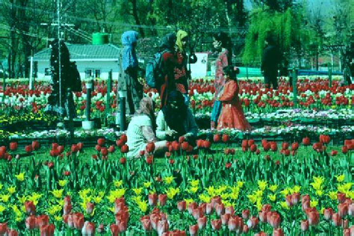 Piper, 35 — Escort in Surkh Bilandi, Afghanistan