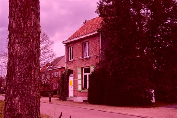 Piper, 35 — Escort in Vroenhoven, Belgium