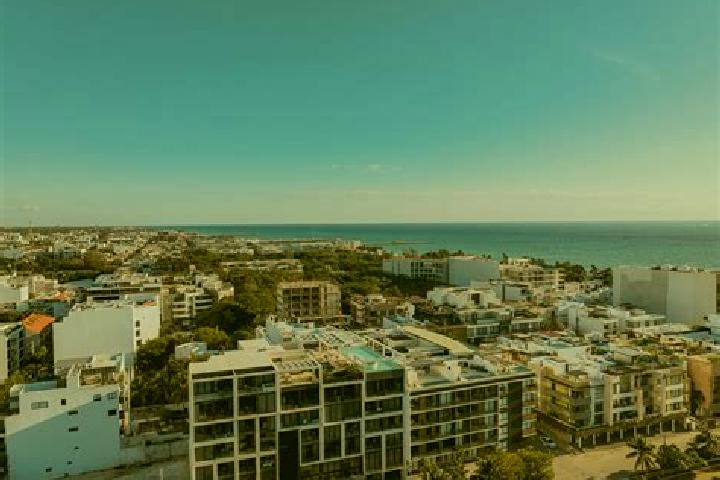 Piper, 36, a black green-eyed mediterranean companion based in Playa del Carrizal. Offering Dinner Date, GFE, Massage, 69, Couples. Available for incall and ...