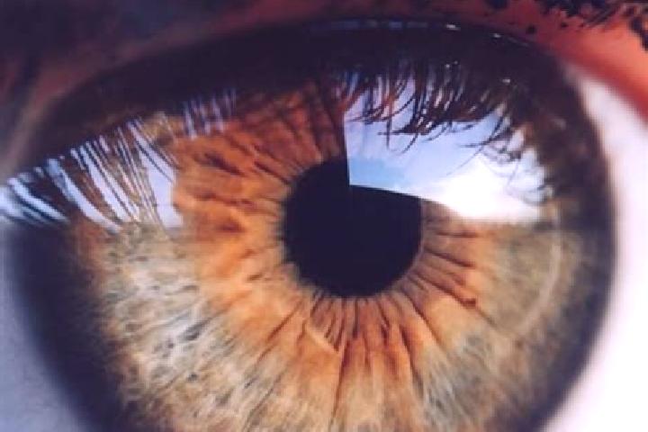 Piper, 36, a dark blonde hazel-eyed caribbean companion based in Alibunar. Offering BDSM, Party Girl. Available for incall and outcall, overnight bookings av...