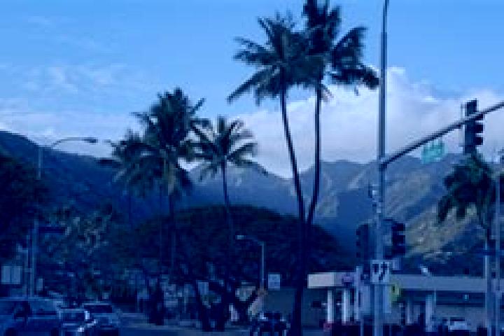 Piper, 36 — Escort in Aina Haina-Hawaii Loa Ridge, United States