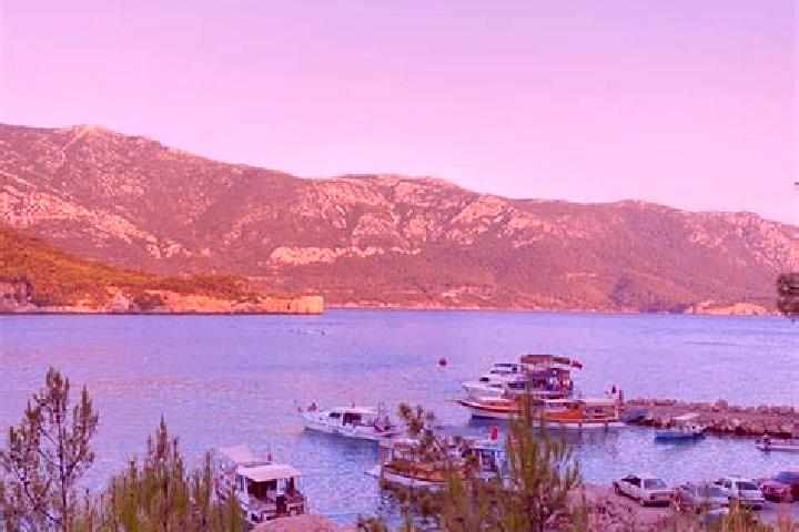 Piper, 36 — Escort in Camili, Turkey
