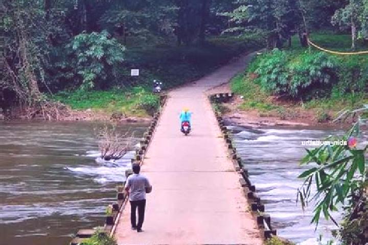 Piper, 36 — Escort in Kuttampuzha, India