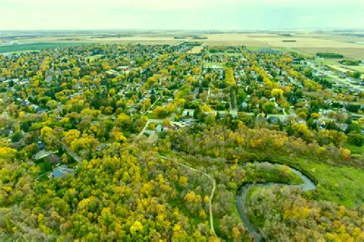 Piper, 36 — Escort in Wawota, Canada