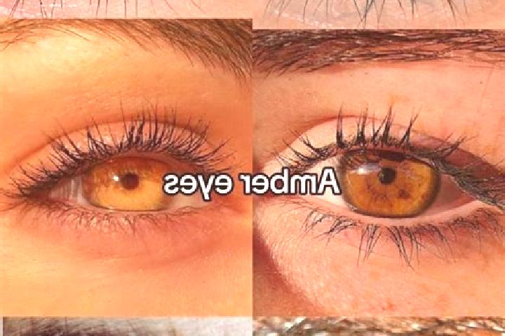 Piper, 37, a chestnut amber-eyed middle eastern companion based in Castellaneta. Offering Couples, OWO, CIM. Available for incall and outcall, overnight book...