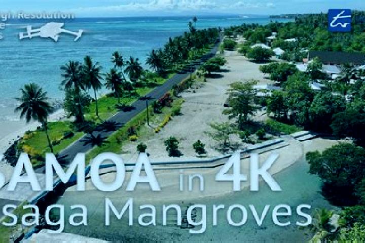 Piper, 37 — Escort in Afega, Samoa