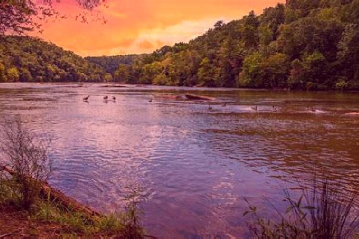 Piper, 37 — Escort in Chattahoochee Hills, United States