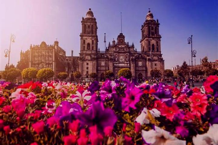 Piper, 37 — Escort in Ciudad Fernandez, Mexico