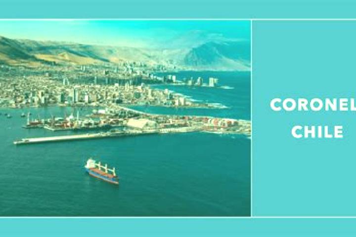 Piper, 37 — Escort in Coronel, Chile