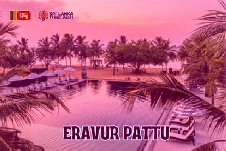 Piper, 37 — Escort in Eravur Town, Sri Lanka